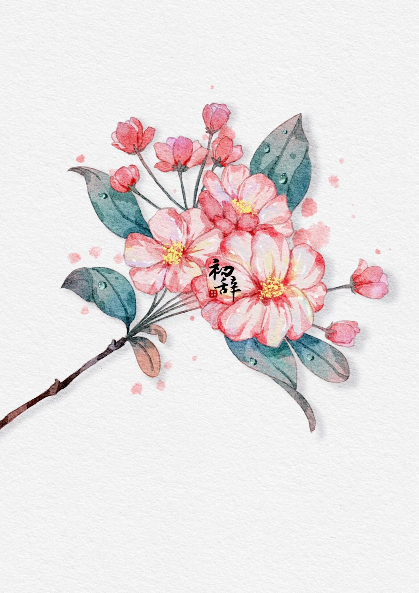 认真画海棠真的好难啊,重瓣的花简直