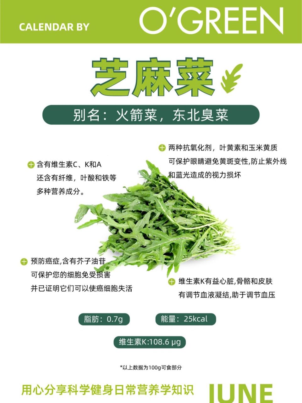芝麻菜又名火箭菜,你知道吗?