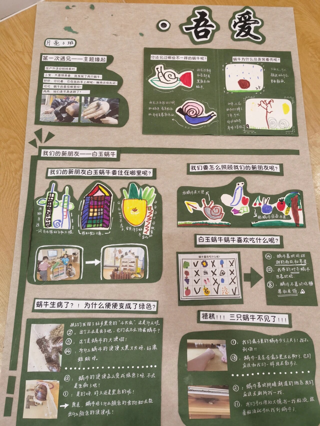 幼儿园课程故事:蜗牛