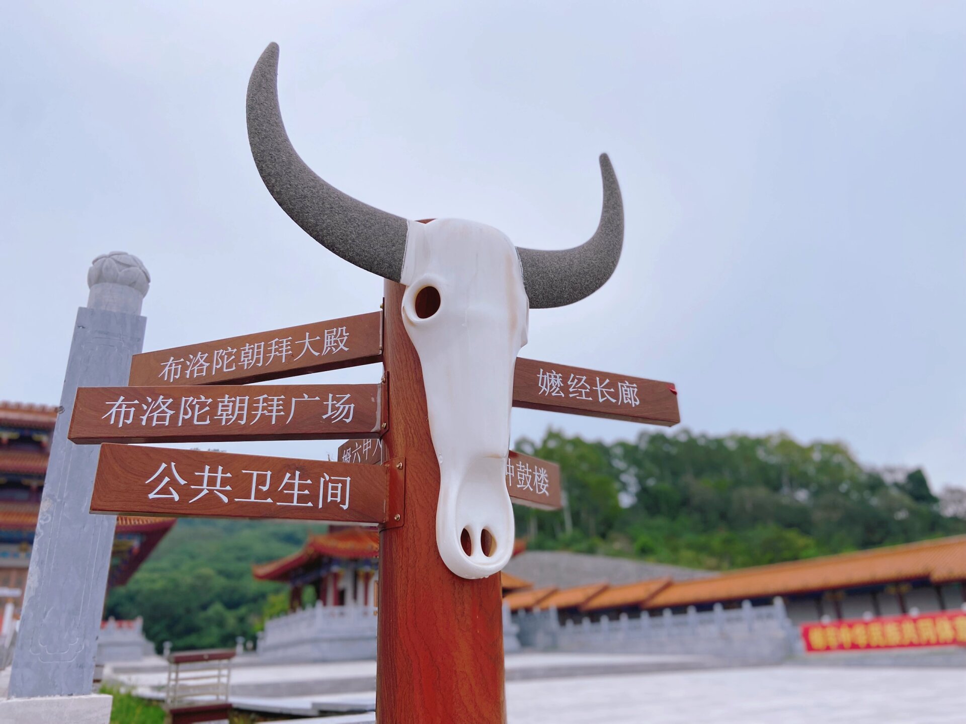 百色田阳|壮族的祖先布洛陀的发源地敢壮山