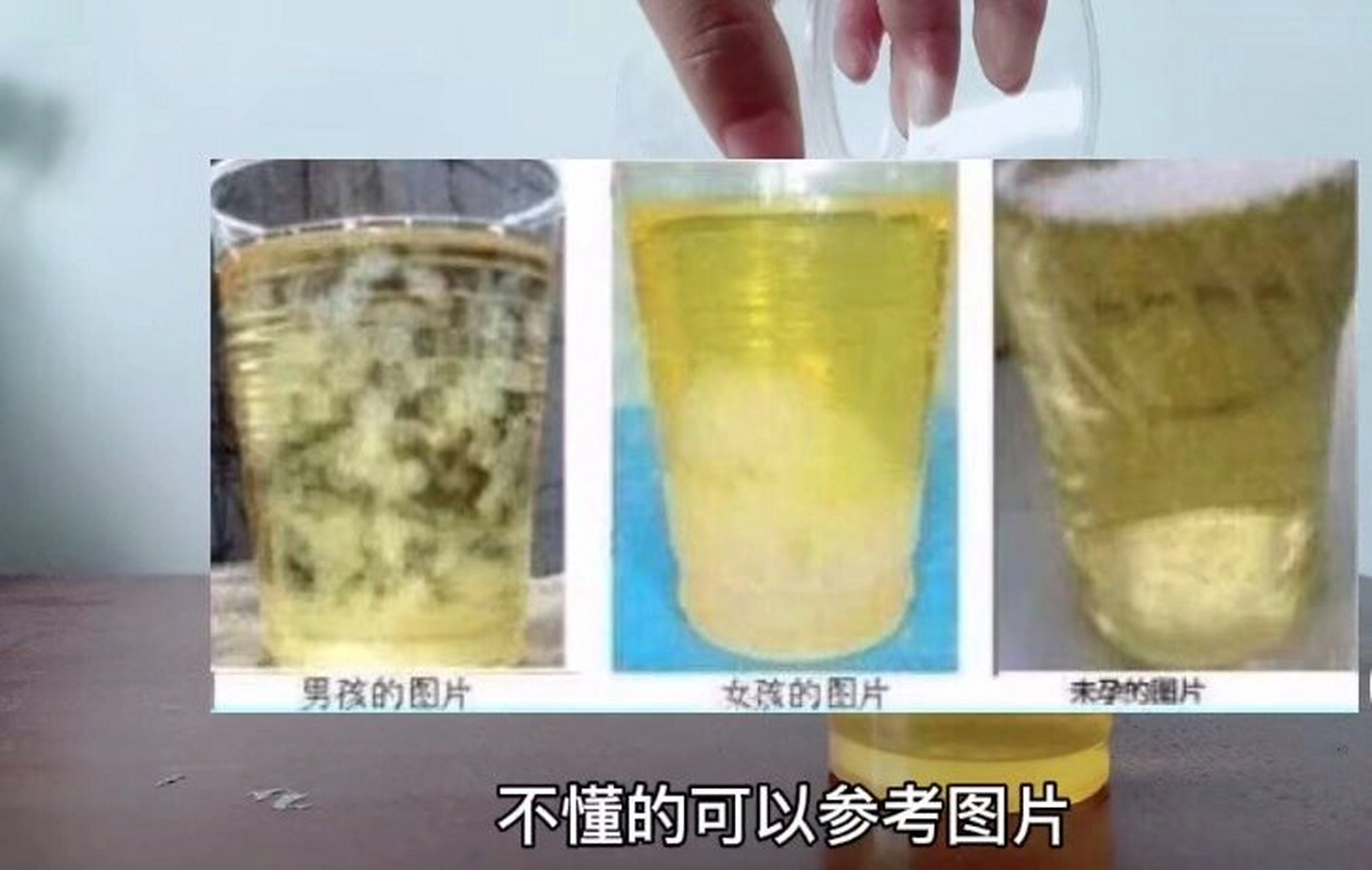 酒精测试男女 26 5周 网上看到的 仅供参考哦 不能说百分之百准的