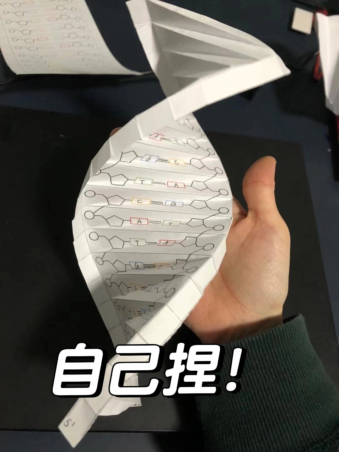 穷鬼教师的自制教具——dna结构模型
