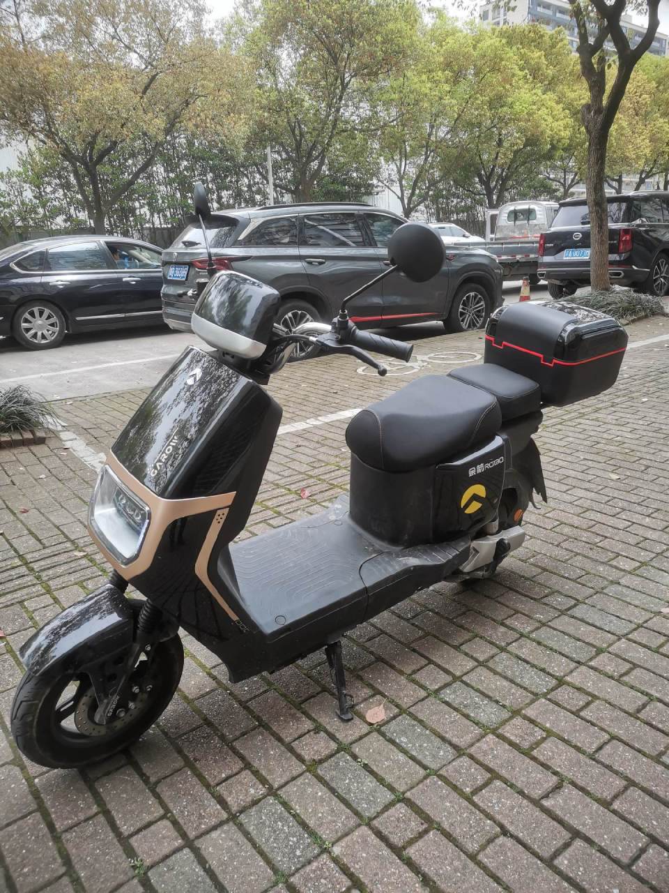 金箭60v新国标电动自行车五个大电瓶一个.一个月新车