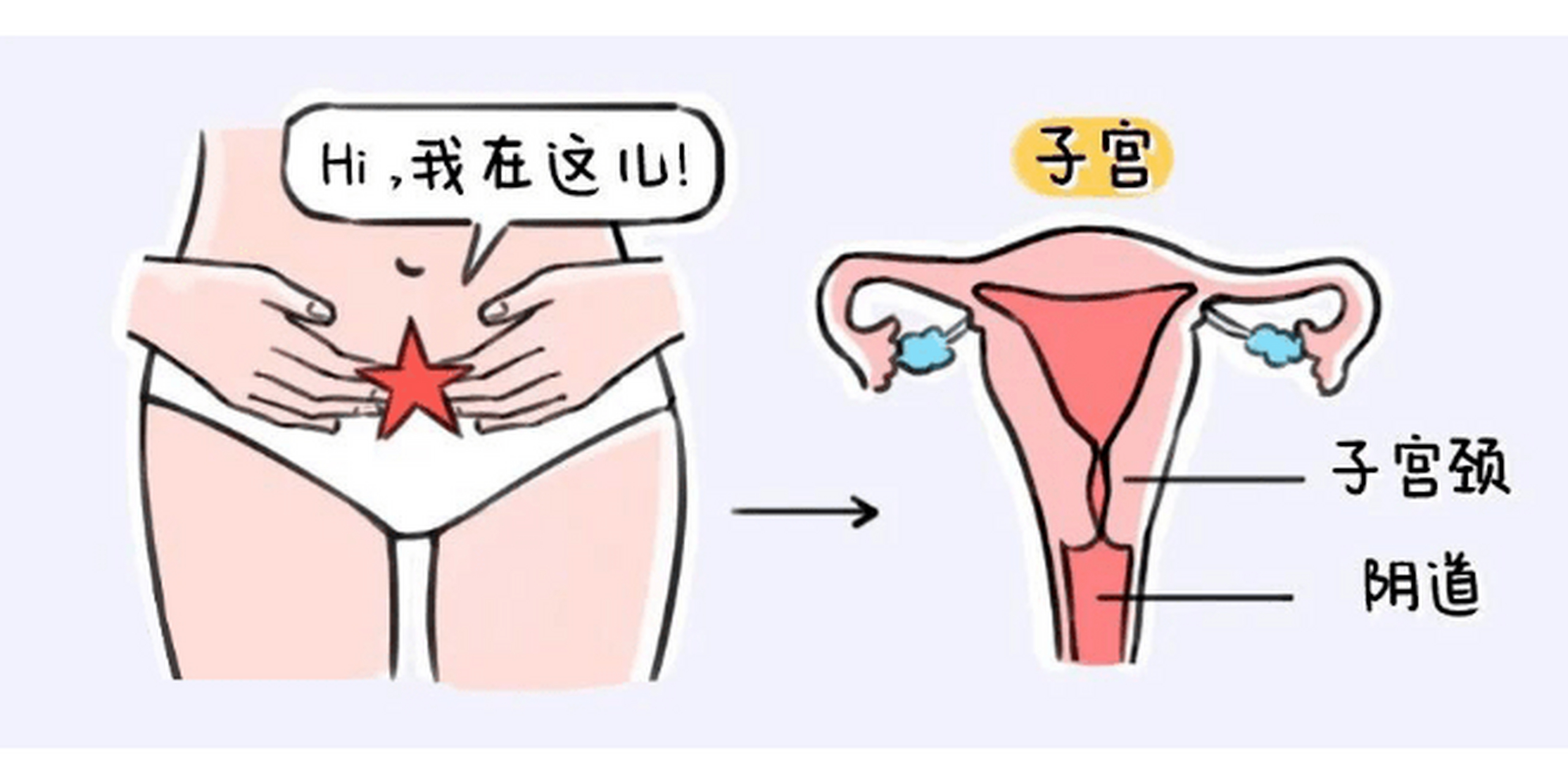 再一个,同房的时候会接触到宫颈,男方的病原体也会通过荫道进来,影响