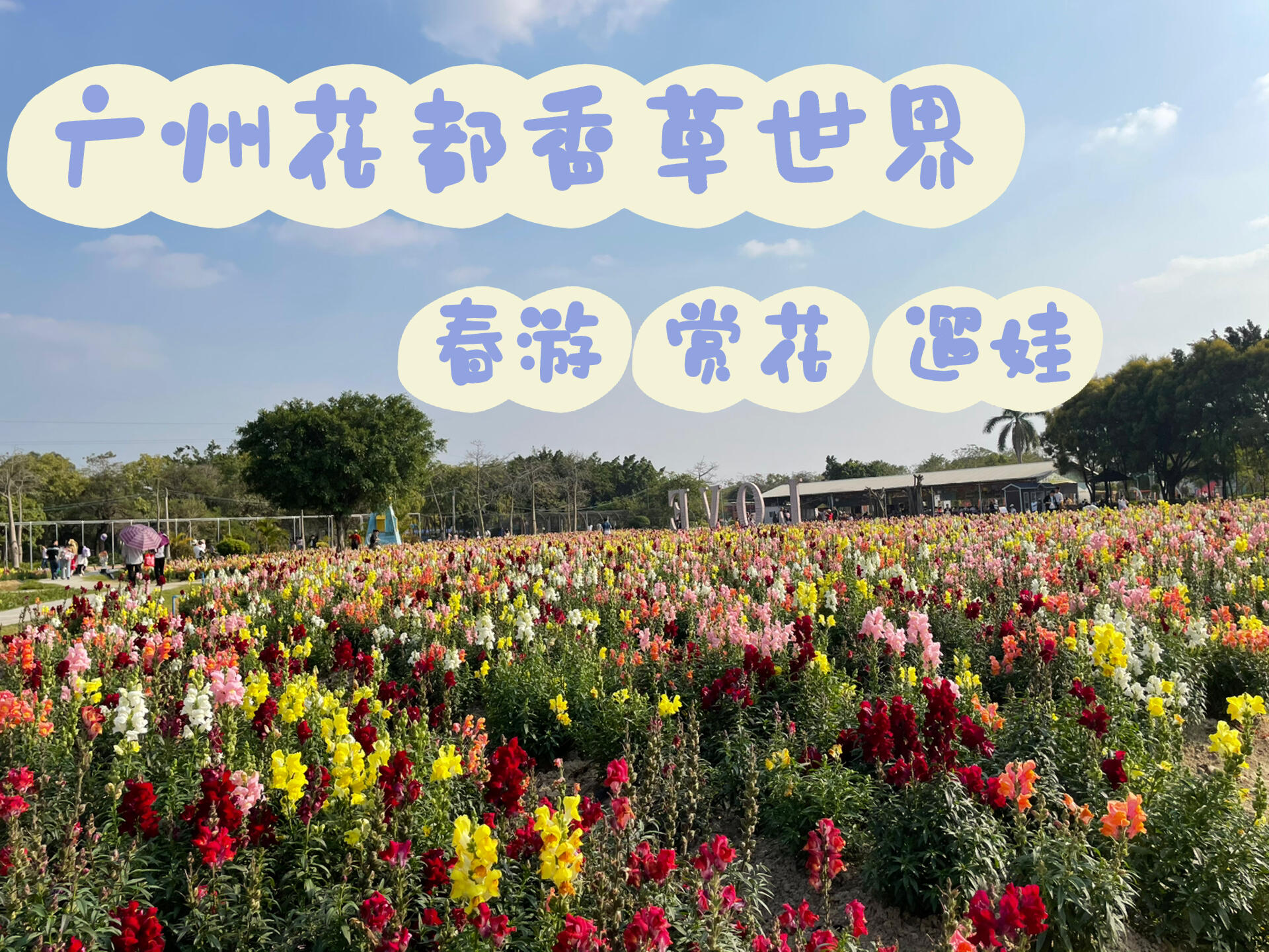 春游 |  花都遛娃必去 |广州香草世界 99门票:60双人票  (美团)