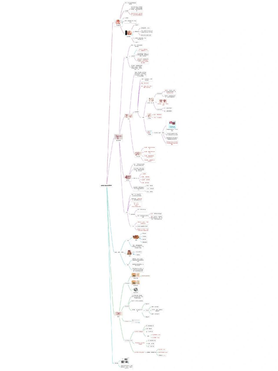 系统解剖思维导图手绘图片