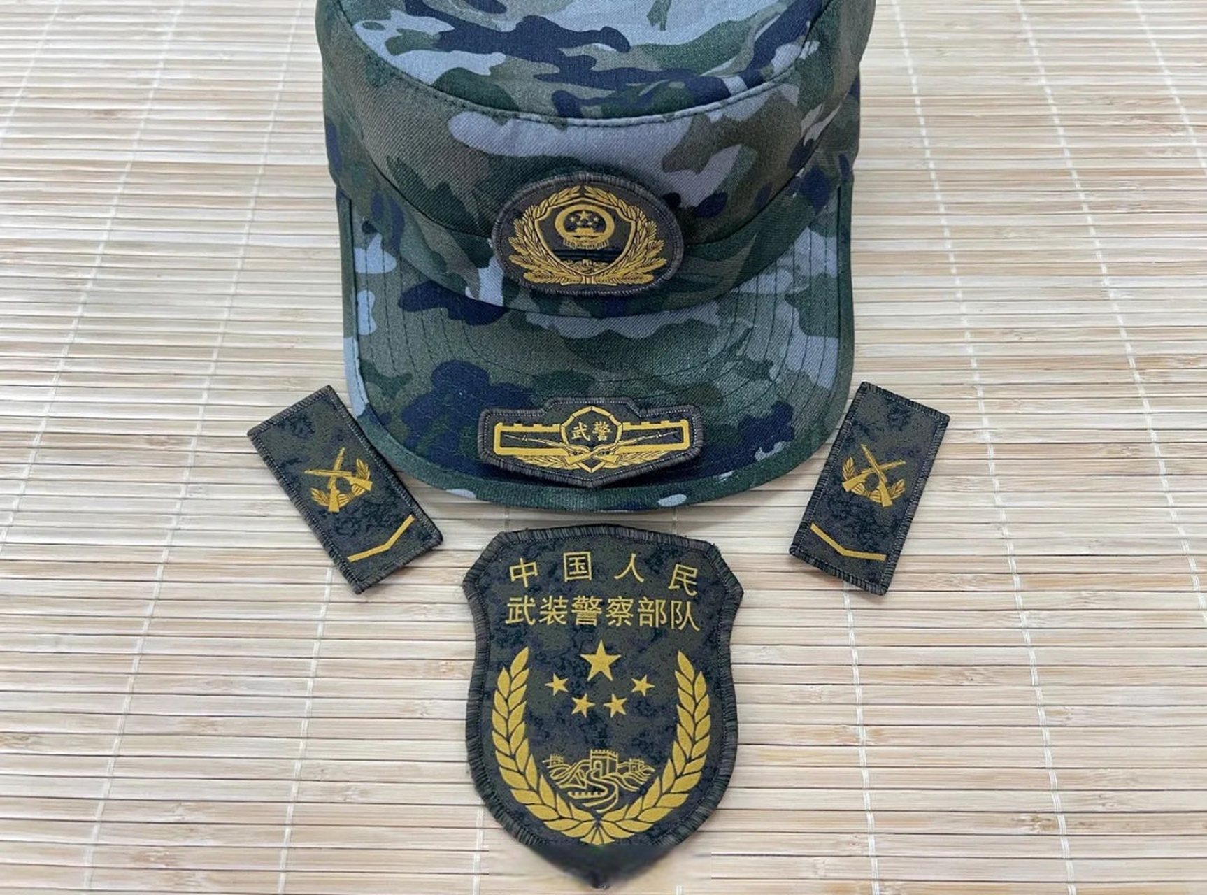 新式武警帽徽,21式作训服标识