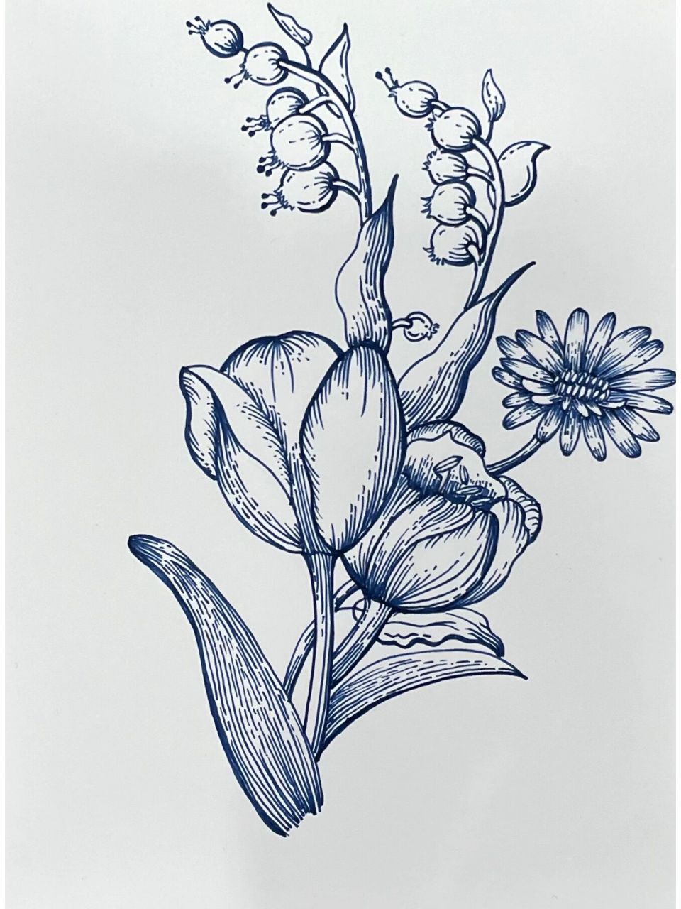 郁金香钢笔速写45/100 "不要因为没有掌声而放弃梦想" 郁金香花束98