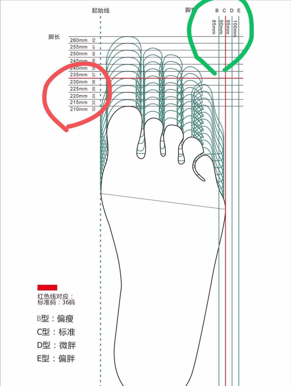7215如果平时的尺码是正常码,不掉跟也不挤脚,就直接定码数.