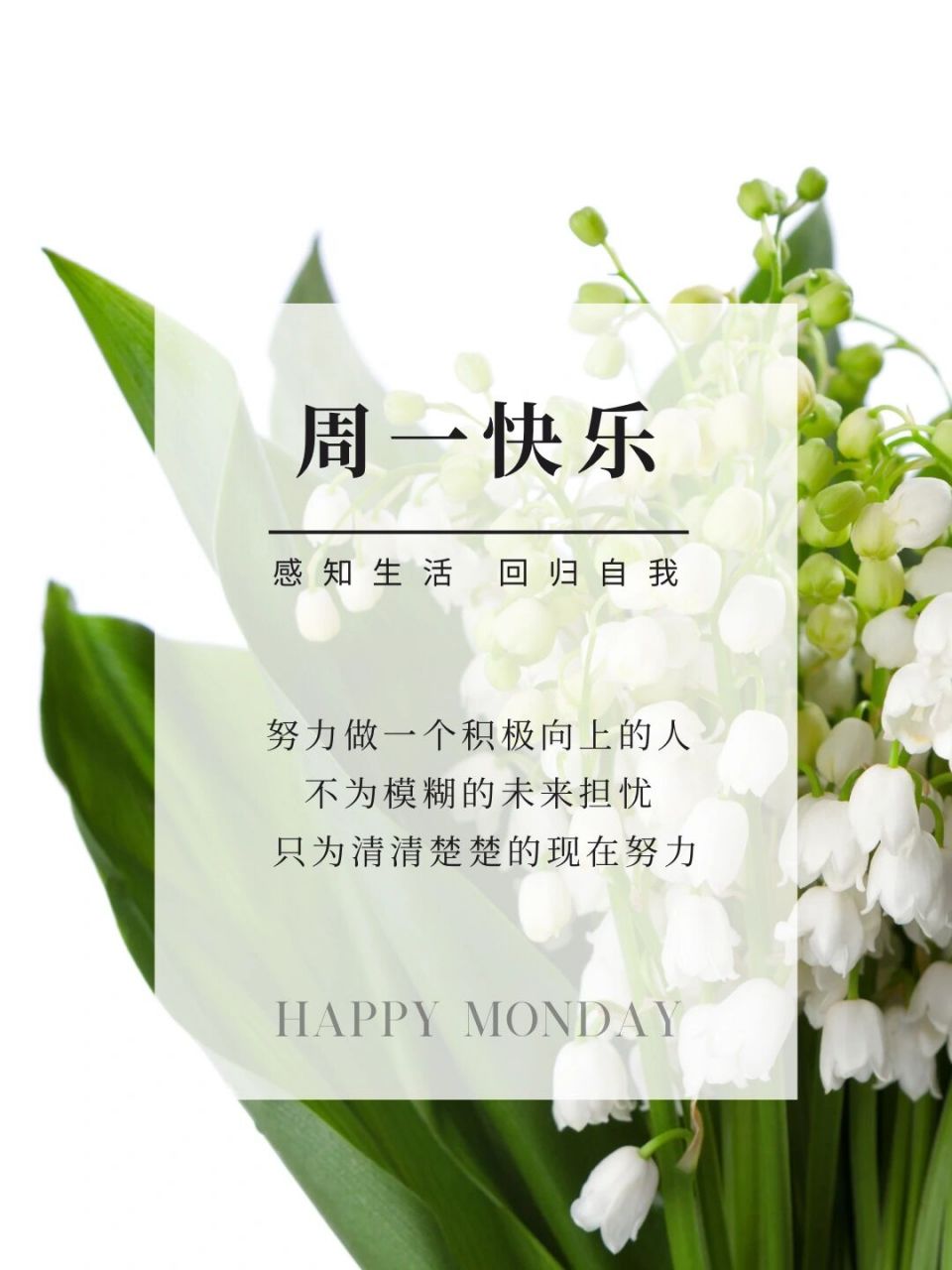 周一快乐 | 今日早安 | 正能量语录 | 日签 #小红书使用报告# #笔记