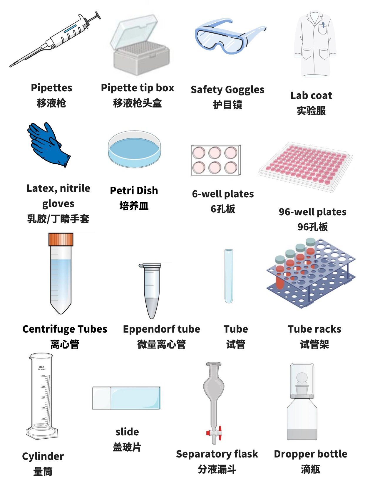 科研人必备7515吐血整理实验器材中英文名称