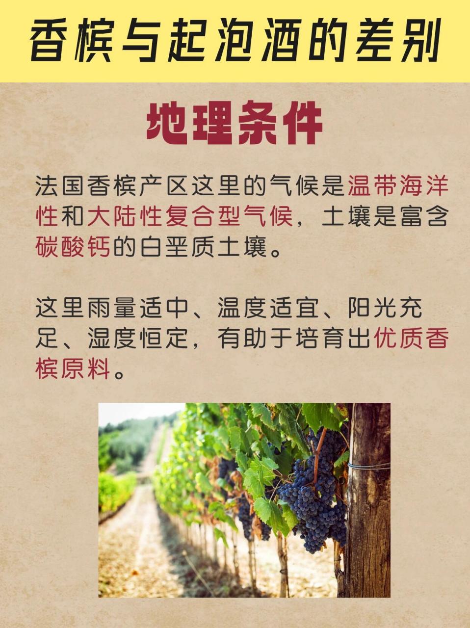 香槟和起泡酒有什么区别? 9415 你分得清香槟和起泡酒吗?