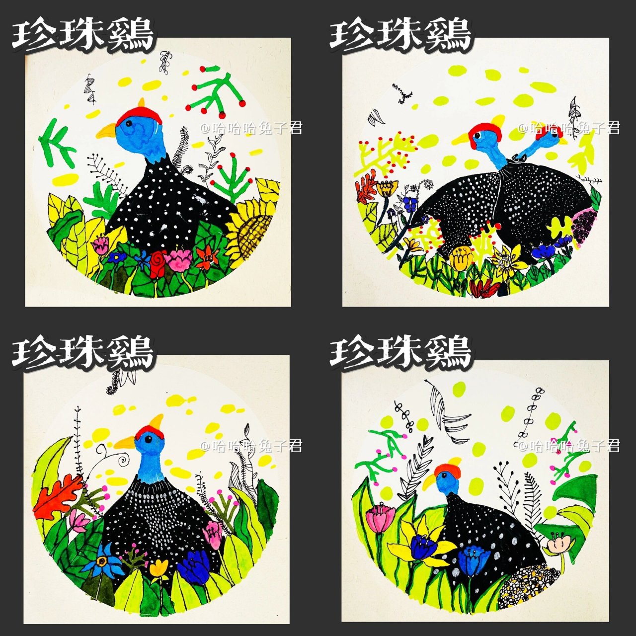 《珍珠鸡》一年级 教学目标: 知识目标: 认识珍珠鸡是鸡科的鸟类,是一