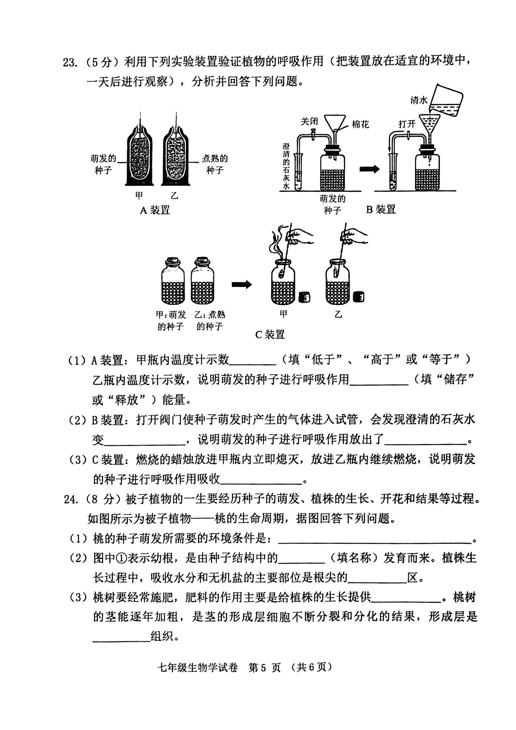 七年级生物卷子题型(七年级生物卷子题型图片)  第2张