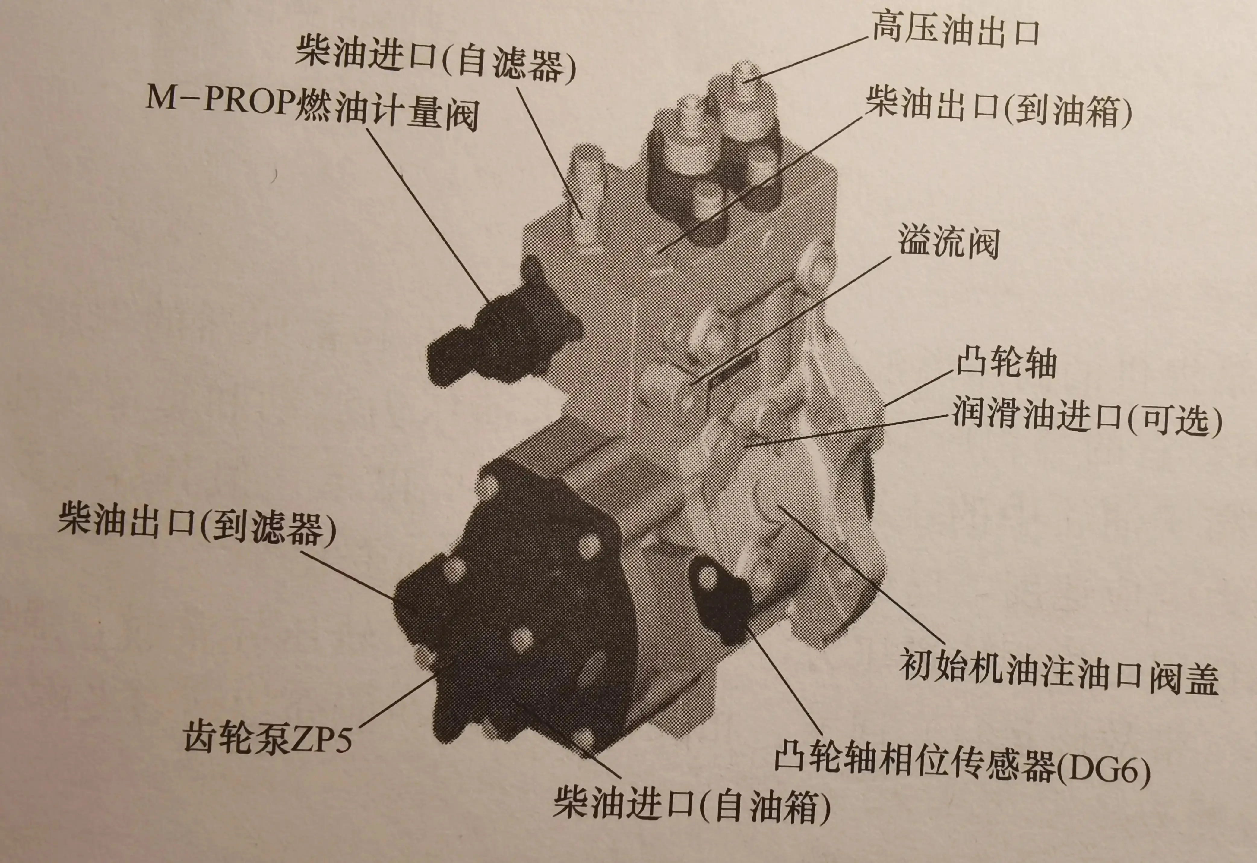 柴油机油泵工作原理图图片