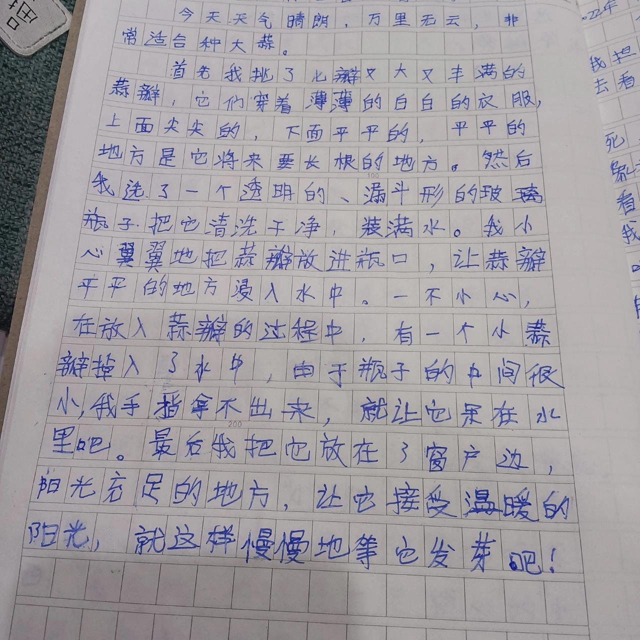 观察大蒜7天后日记400字(大蒜观察日记7天作文400字)