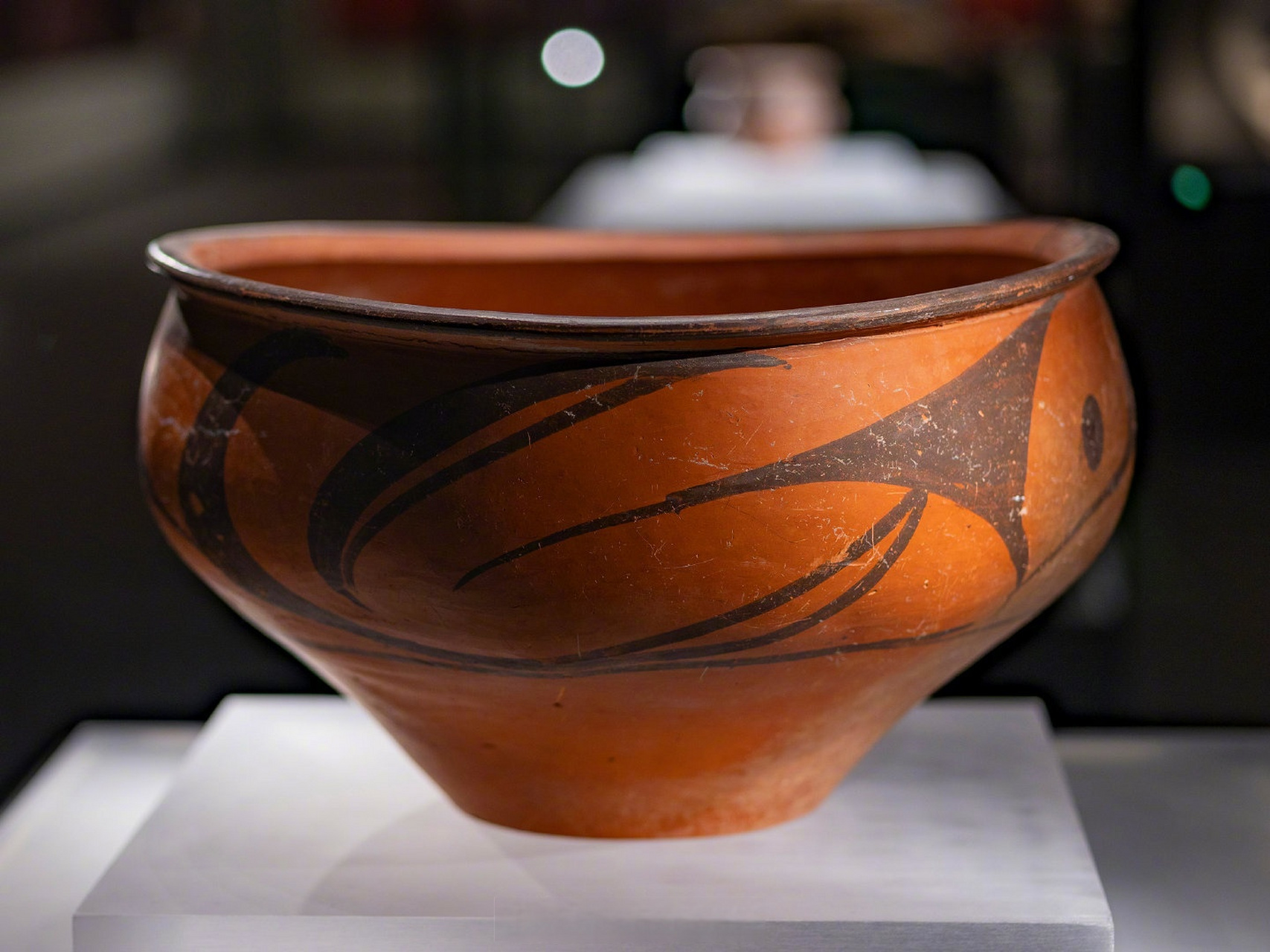 【庙底沟彩陶旋符中弧角三角形是神鸟的眼睛】11月27日,在首届仰韶