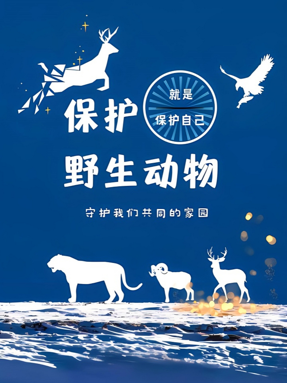 91 分享一组保护动物海报,让我们一起行动起来,为动物们创造一个更