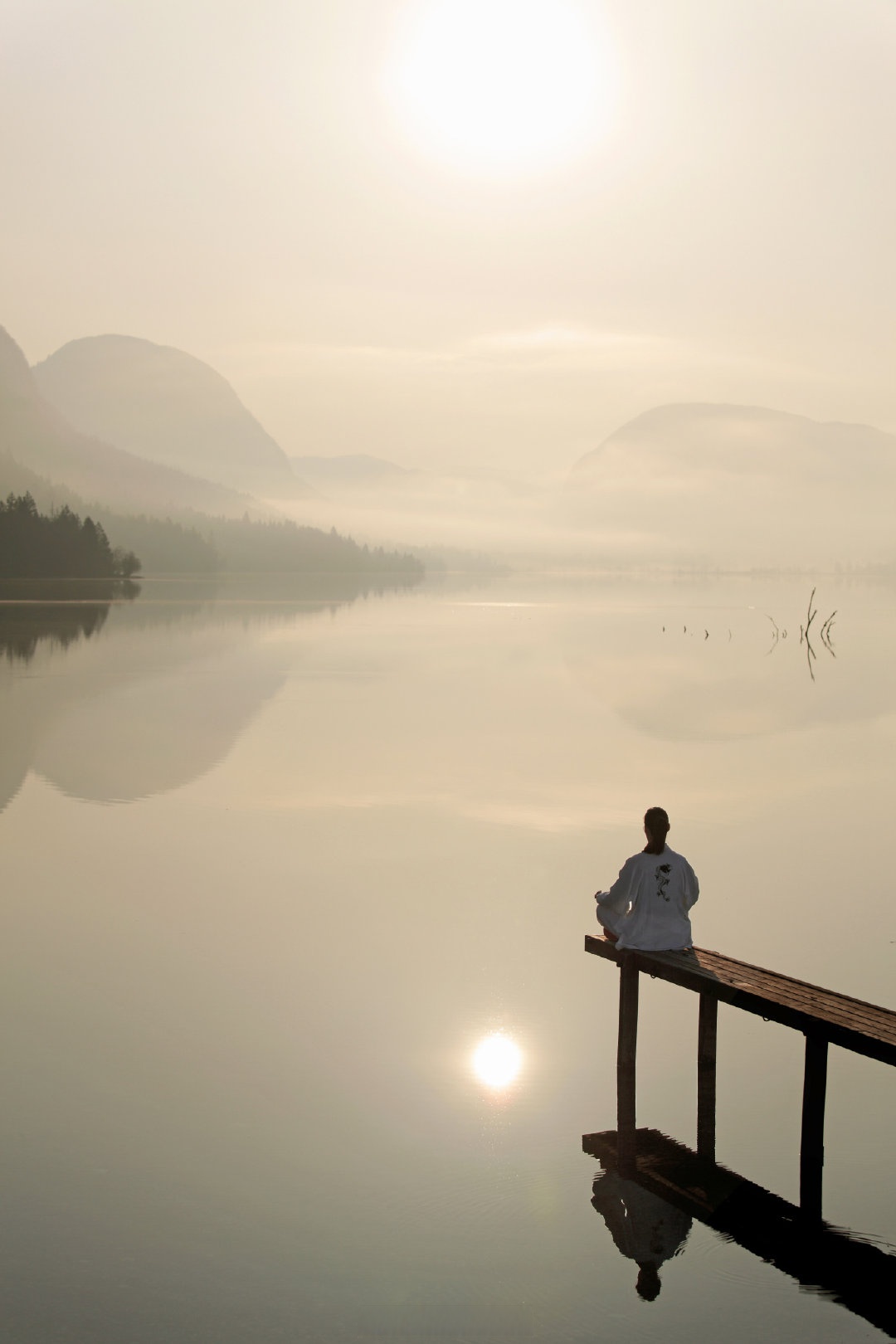 我多么希望,我写的每一个字,每一篇文章都洋溢着柔