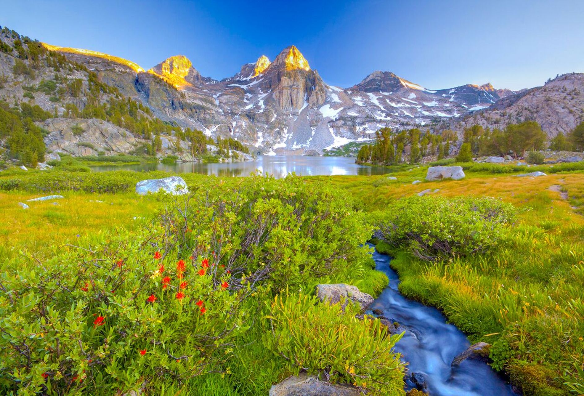 kings canyon san francisco旧金山 两大自然风景地国家公园双游