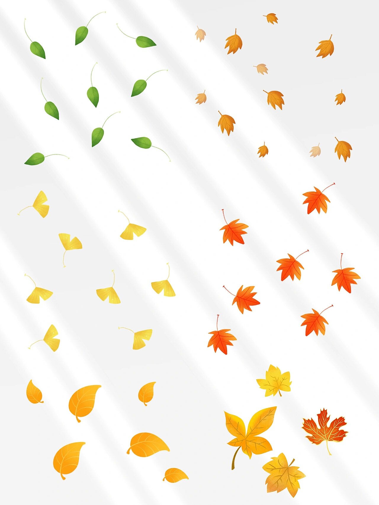 54款秋天落叶素材|93枫叶银杏叶|也太美了吧 97 今日分享『秋天