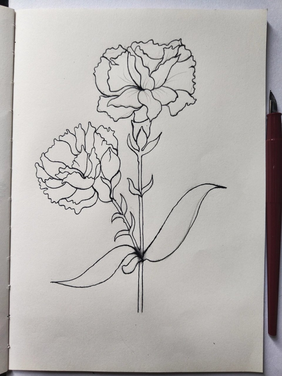 而康乃馨被视为献给母亲的花,中国的母亲花是萱草花,又叫忘忧草.