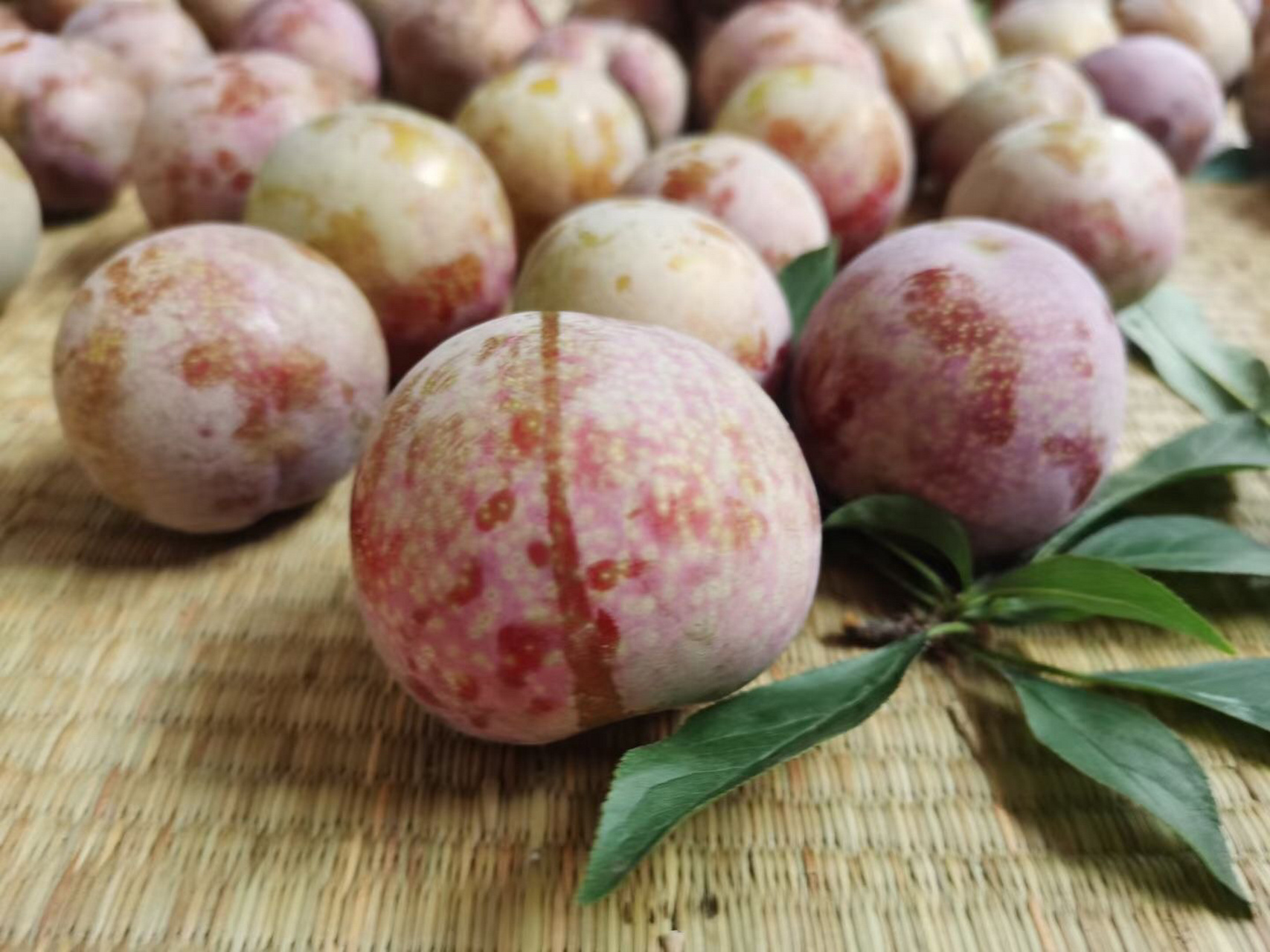 嵊州桃形李 嵊州桃形李是浙江省绍兴市嵊州市的特产.