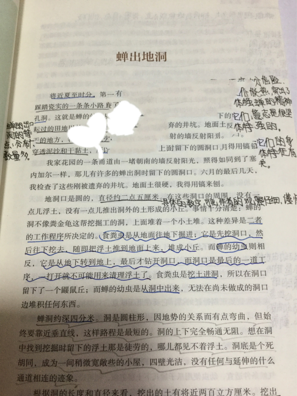 《昆虫记》蝉出地洞 四