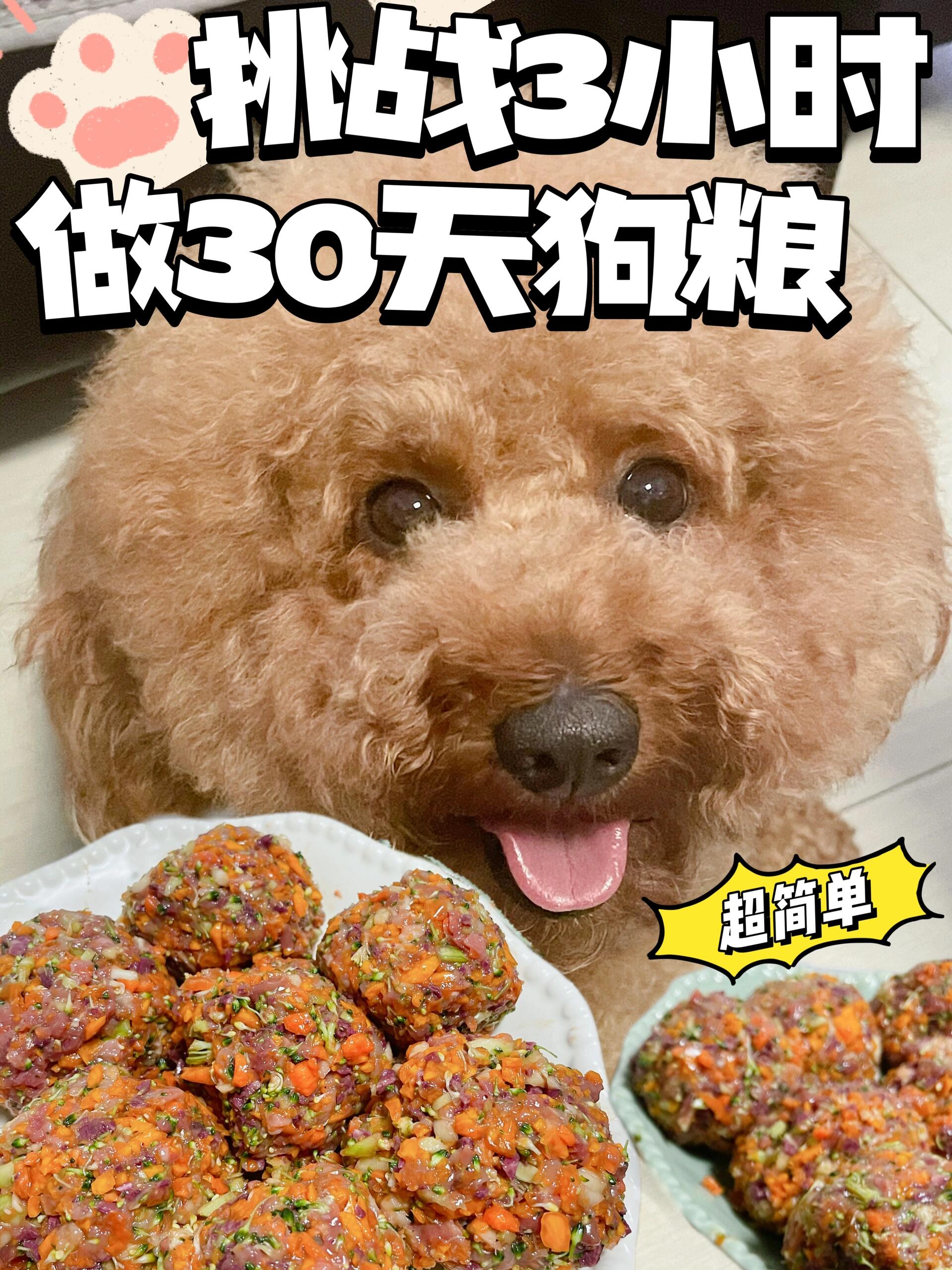 自制狗饭教程,有手就会!营养美味