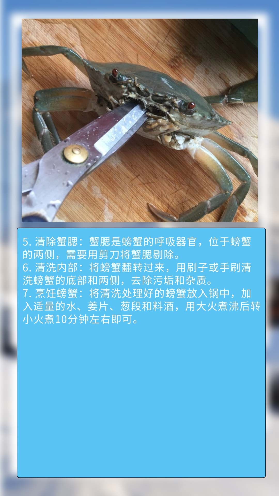 清洗螃蟹:将螃蟹放入水盆中,用刷子或手刷刷洗螃蟹的腹部和背部,去除