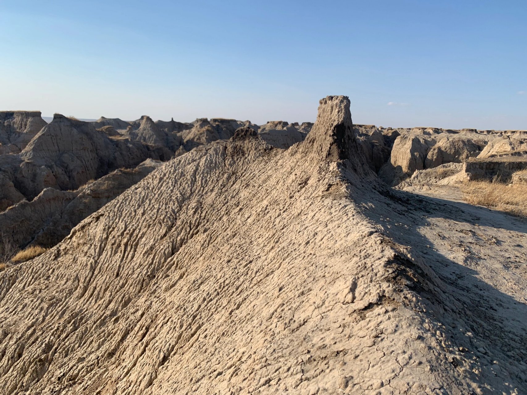 1,吉林省乾安泥林国家地质公园位于吉林省松原市乾安县西南部40千米处