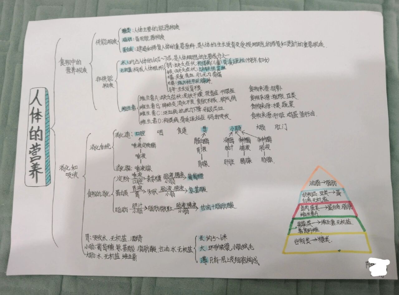 人体的营养 七年级下册人教版第二章人体的营养思维导图