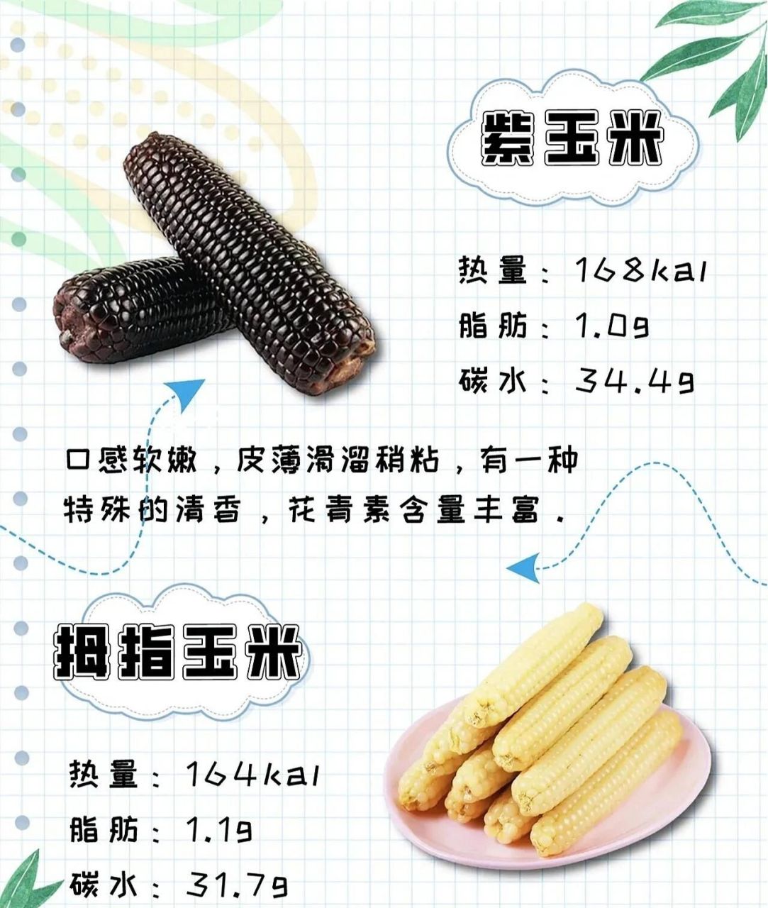 1,普通玉米:富含膳食纤维,包含纤维素,半纤维素,果胶及木质素等.