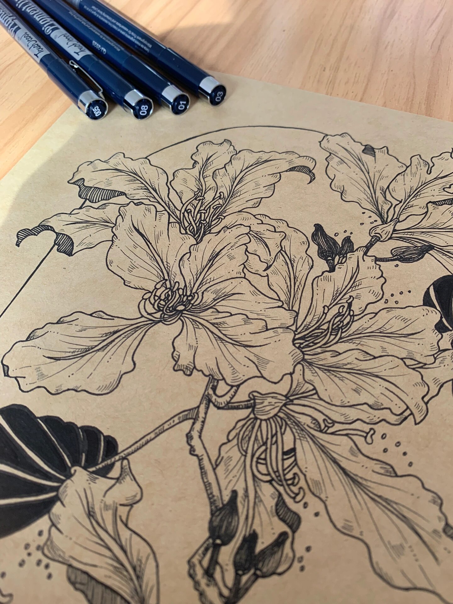 黑白线描花卉～紫荆