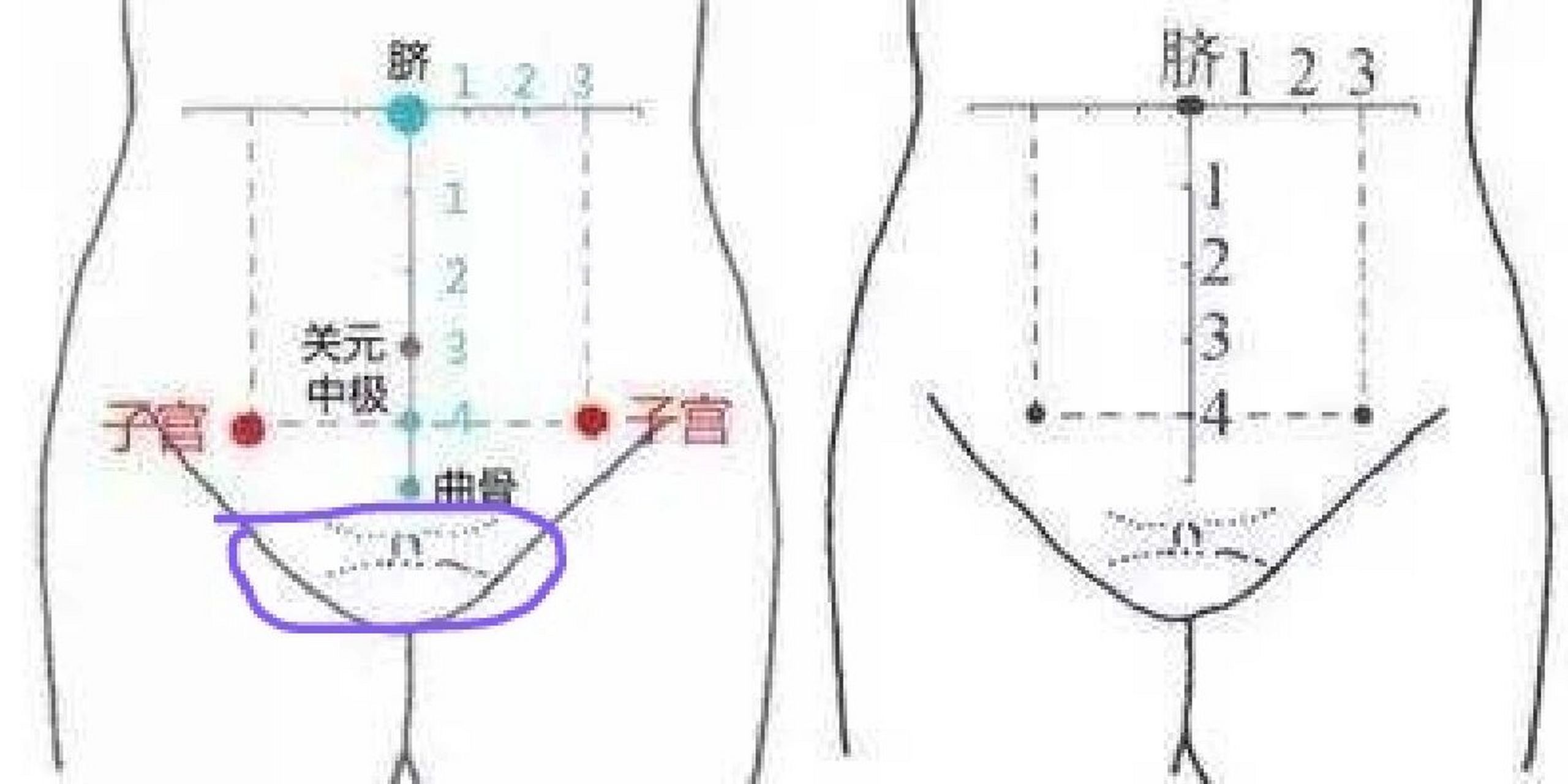 女人小腹下面三角区疼图片