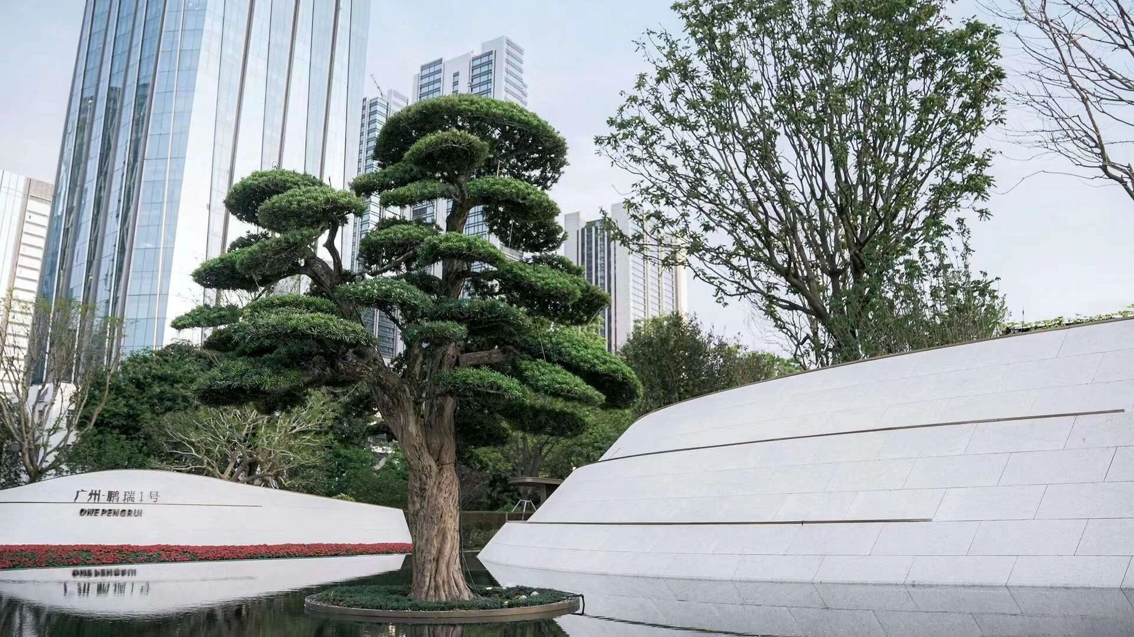 鹏瑞广州1号,即将登场!目前吹风说要卖30万/㎡,我觉得过于夸张了!