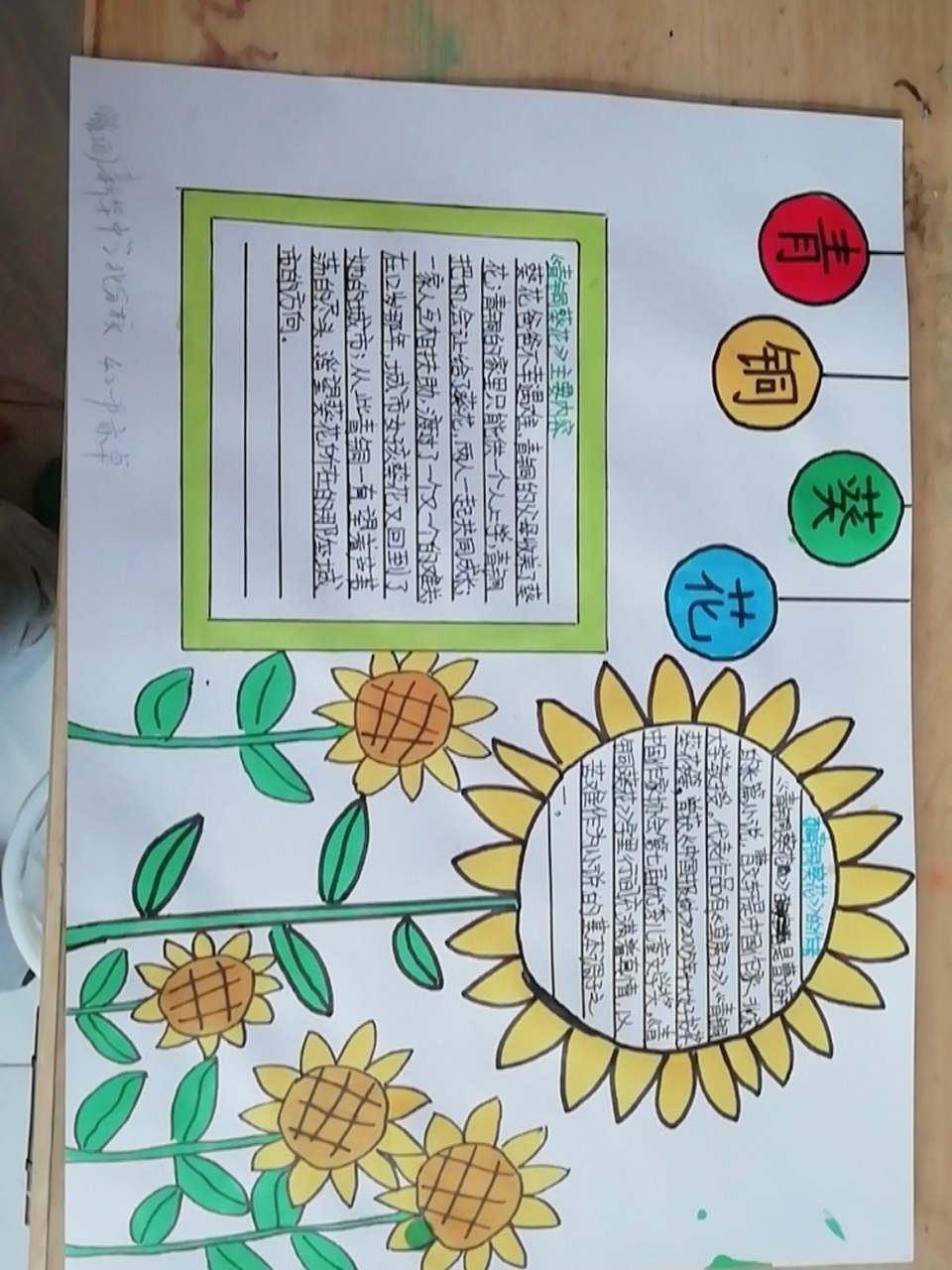 《青铜葵花》手抄报 原创,使用请艾特我