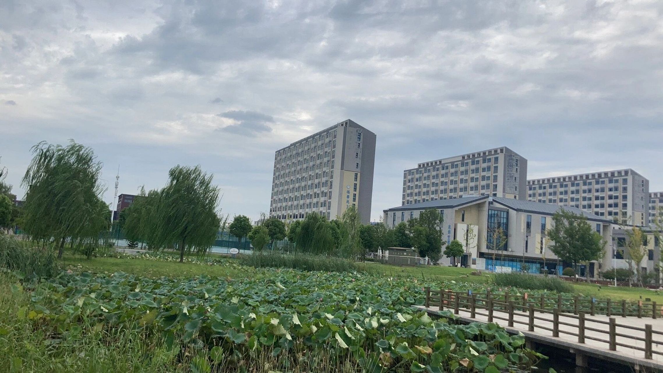 安徽科技学院龙湖校区的校园 嘿嘿嘿～和学弟学妹们分享下上岸后的