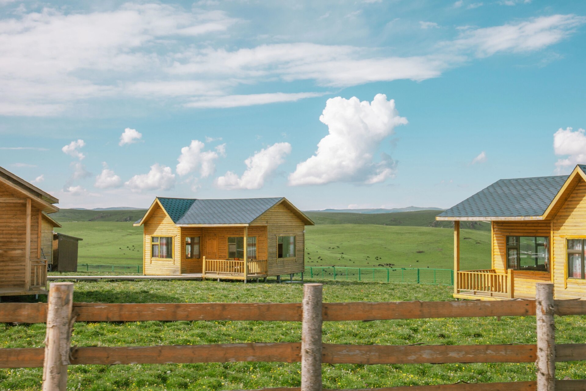 夏天必去的美仁大草原 美仁大草原位于甘南藏族自治州合作市,这里气候