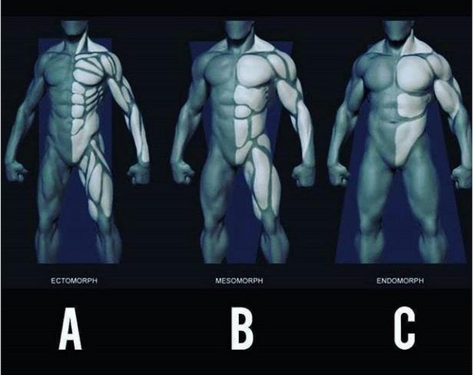 肌肉男的三种体型,你喜欢哪个?