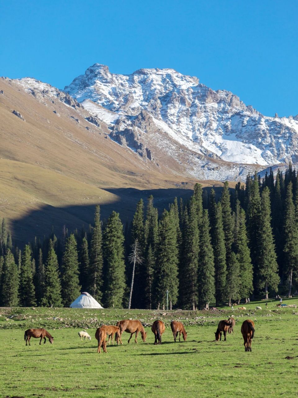 2021拍的最喜欢的9张新疆 2021年去了两次新疆 一次秋天 一次冬天 拍