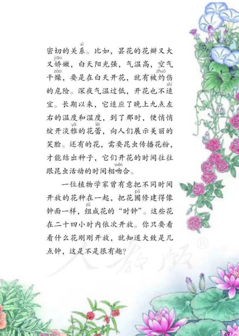 讨论贴:花钟第二自然段,关键句到底是哪句?