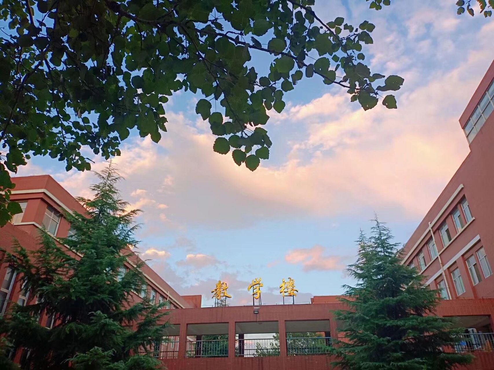 石家庄幼儿师范高等专科学校    带你全面了解幼专!