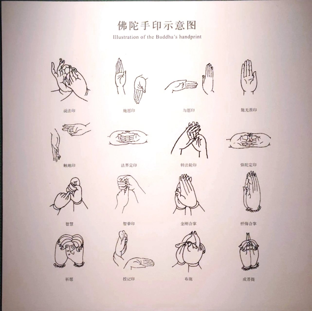 佛陀的各种手势你知道几个 佛教的各种手势, 代表佛像的不同身份