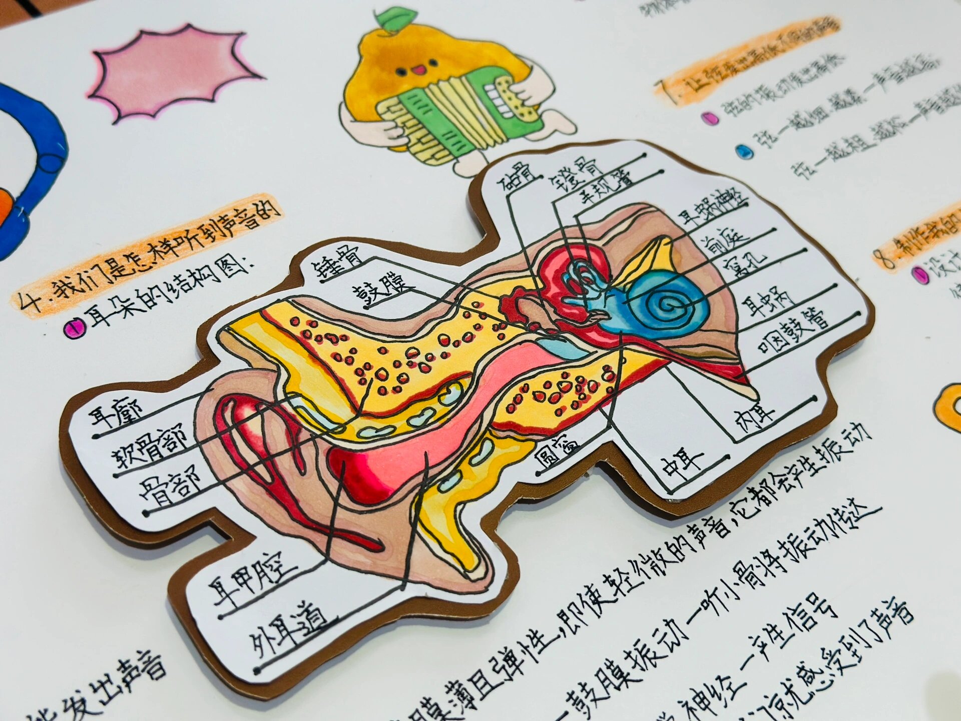 大山里的歌声思维导图图片