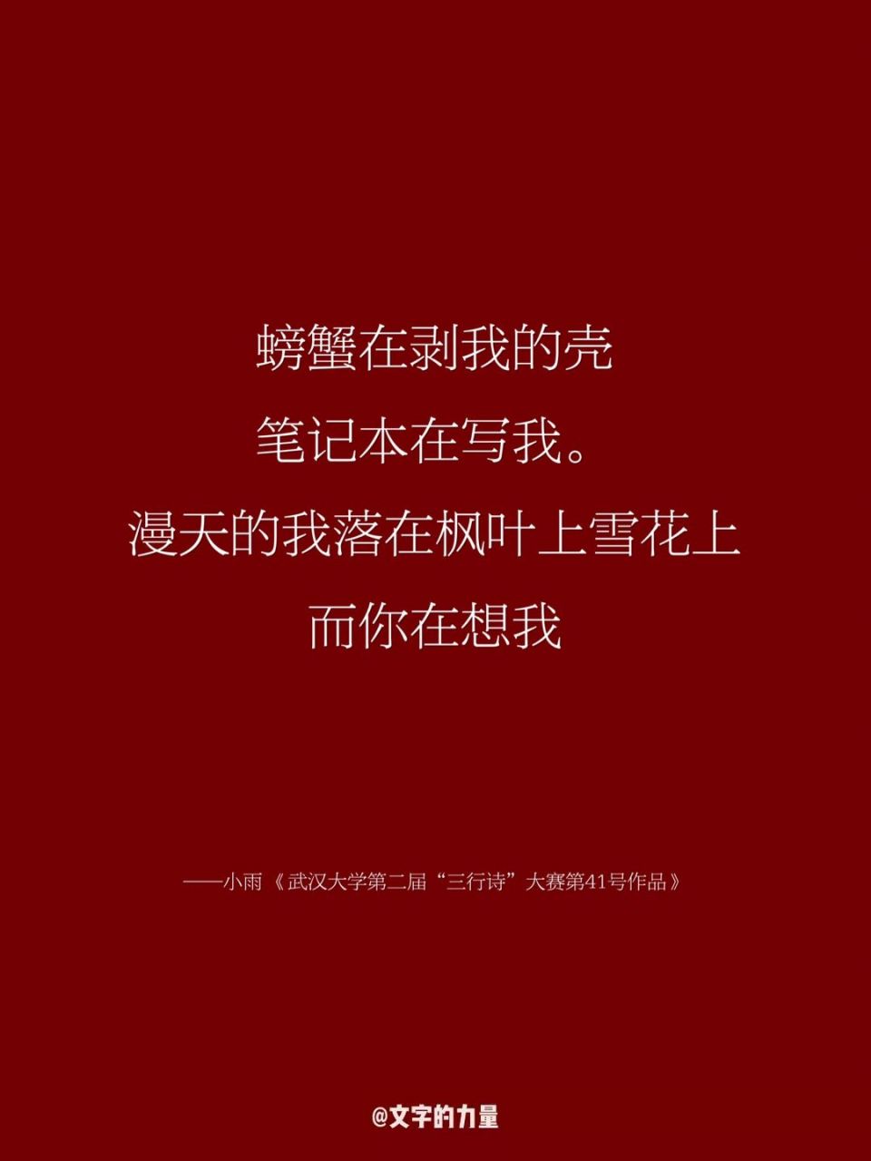 小雨 《武汉大学第二届"三行诗"大赛第41号