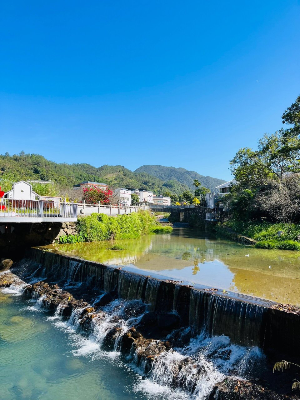 陆河世外梅园景区图片