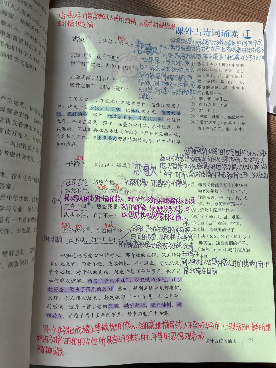 八下语文《式微》&《子衿》批注 90