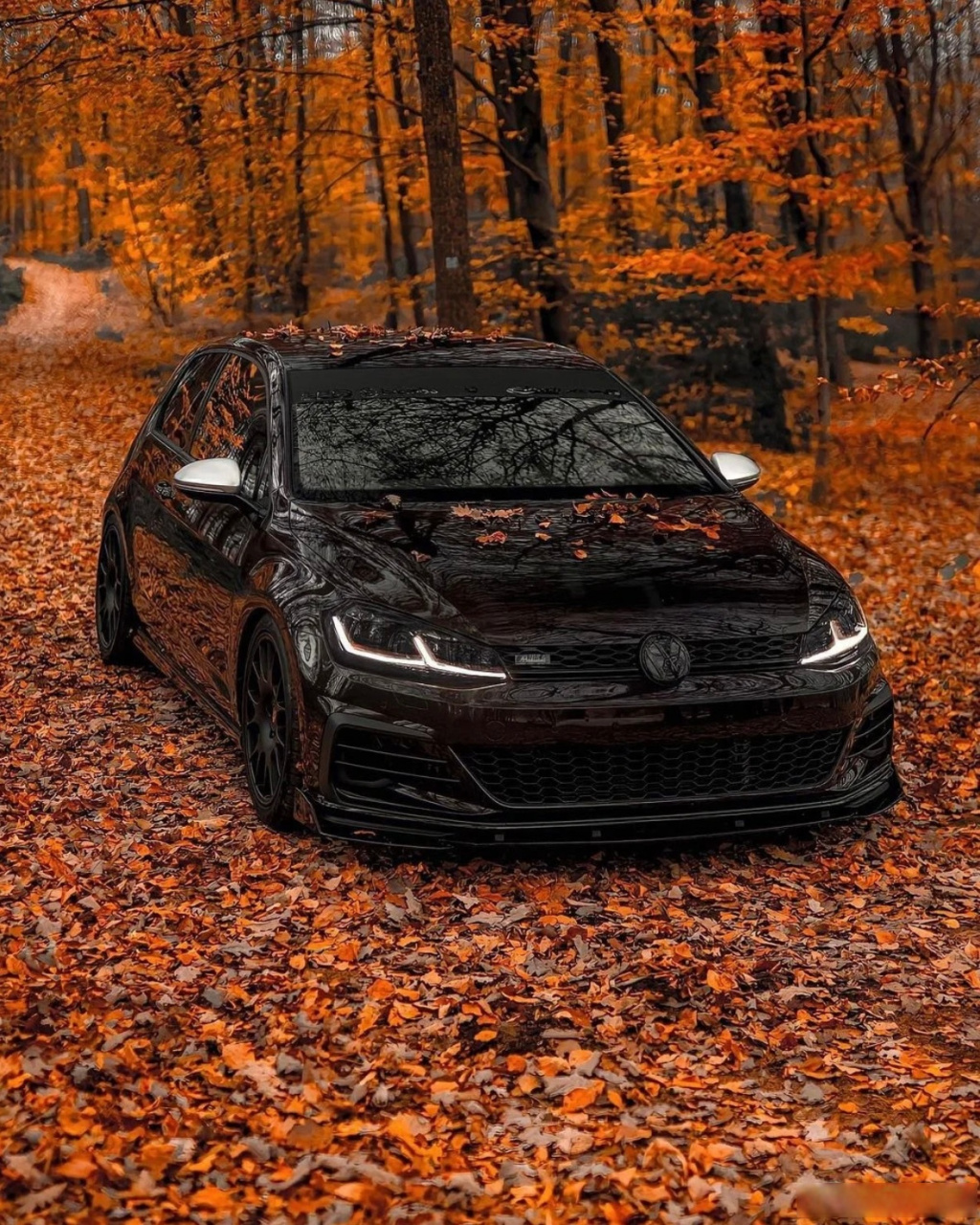 黑武士太帅了吧高尔夫r