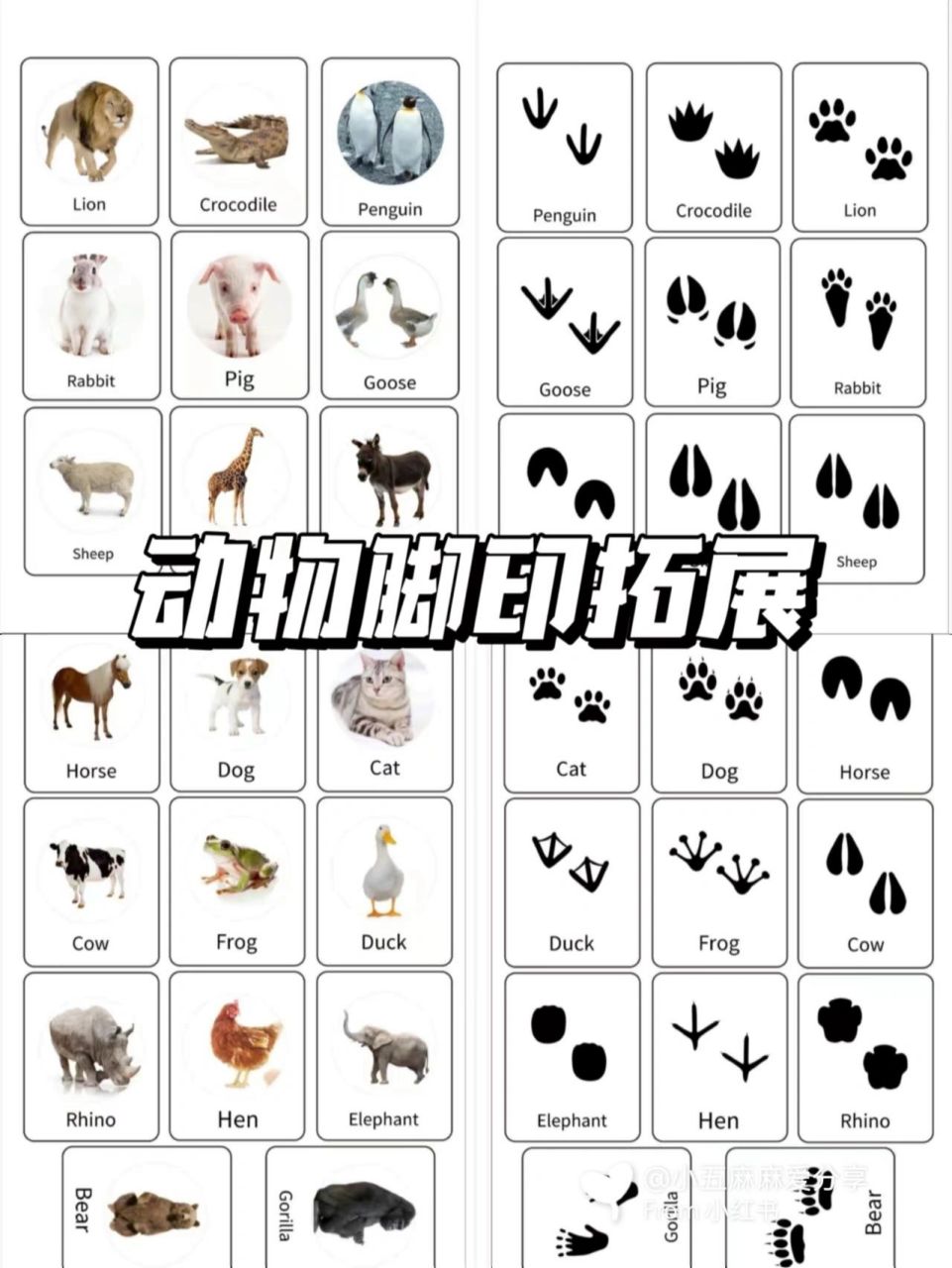 在家早教|动物脚印93拓展 快来看,我又挖到宝啦60156015 这